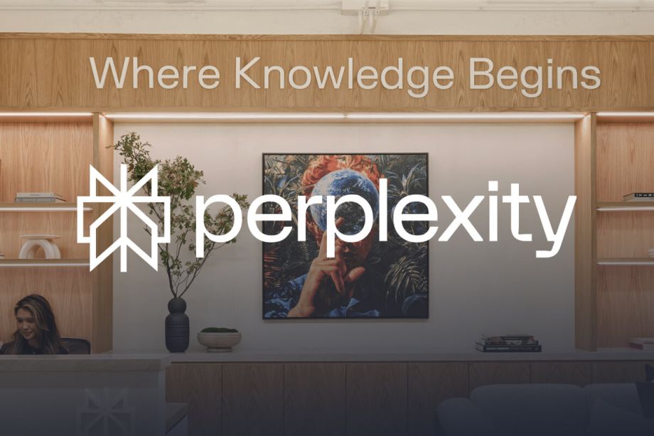 Perplexity